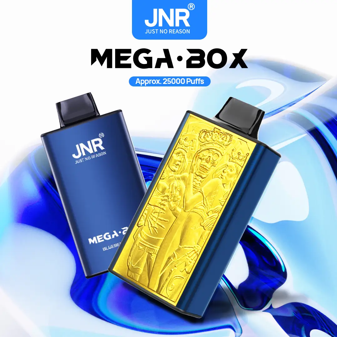 JNR Mega Box vape, 25000 puffs, elegant design.